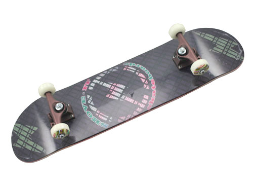 Skateboard-WF3108E
