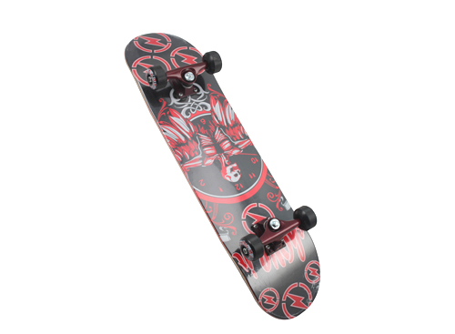 Skateboard-WF3108F