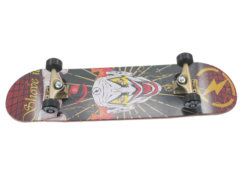 Skateboard-WF3108G